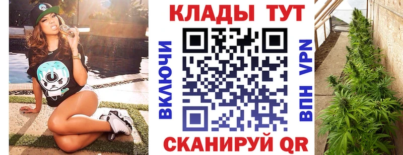Метадон Темников