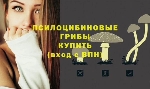 амфетамин Медвежьегорск