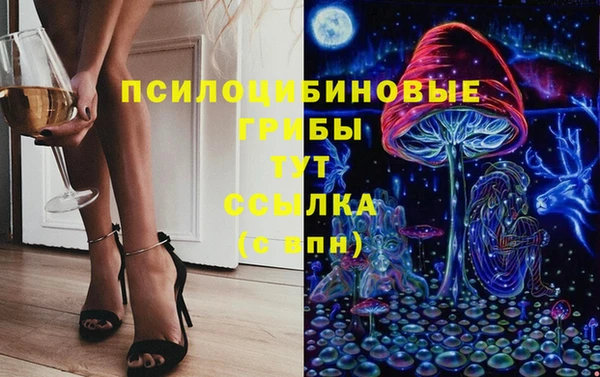 дживик Медногорск