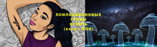 дживик Медногорск