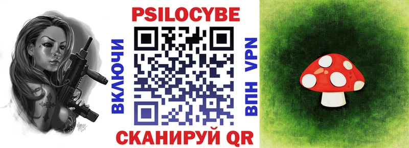 Купить закладки  Темников  Галлюциногенные грибы ЛСД 
