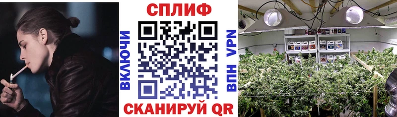 Купить закладки  Темников  Каннабис конопля 
